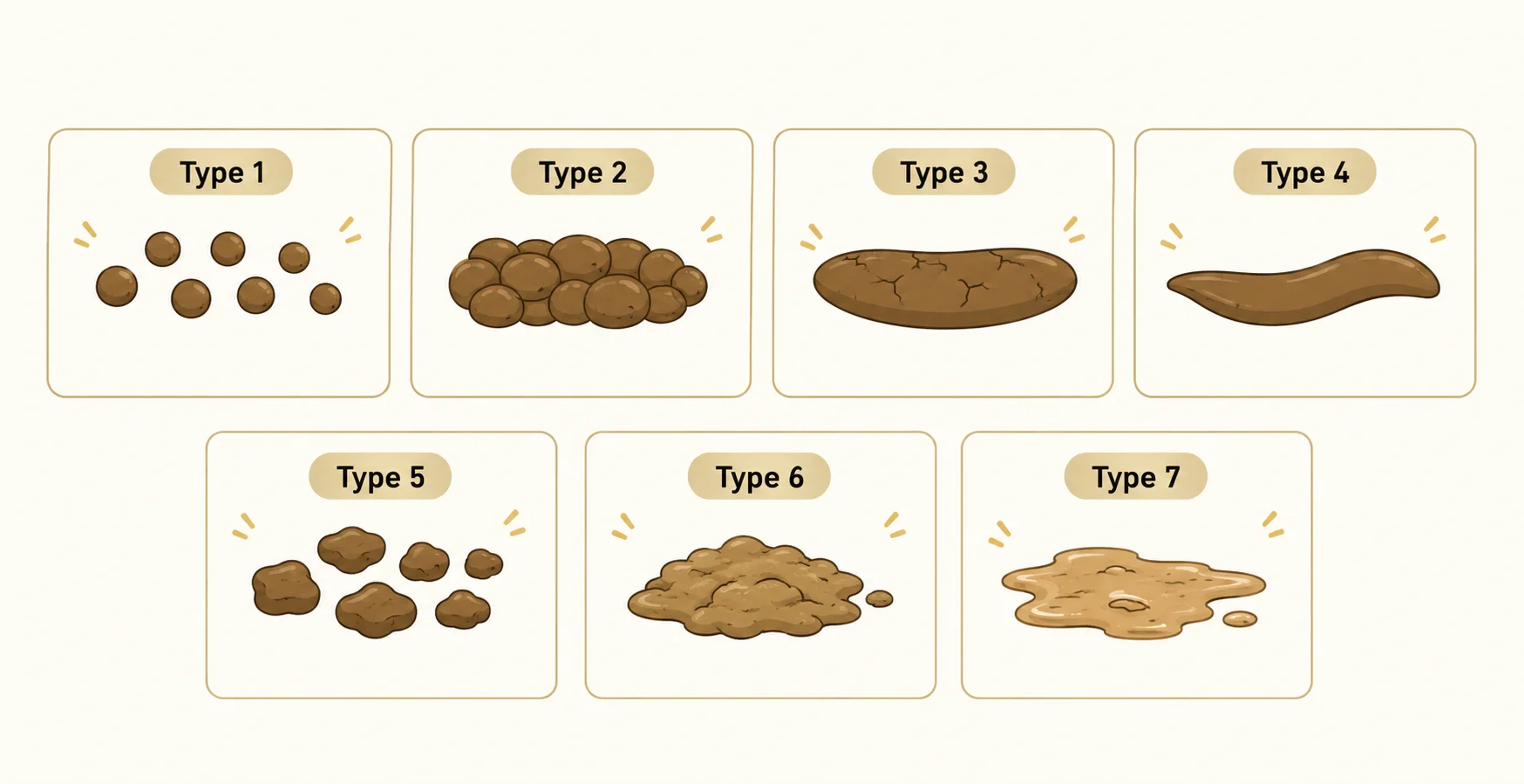 Bristol Stool Chart met de zeven ontlastingstypes
